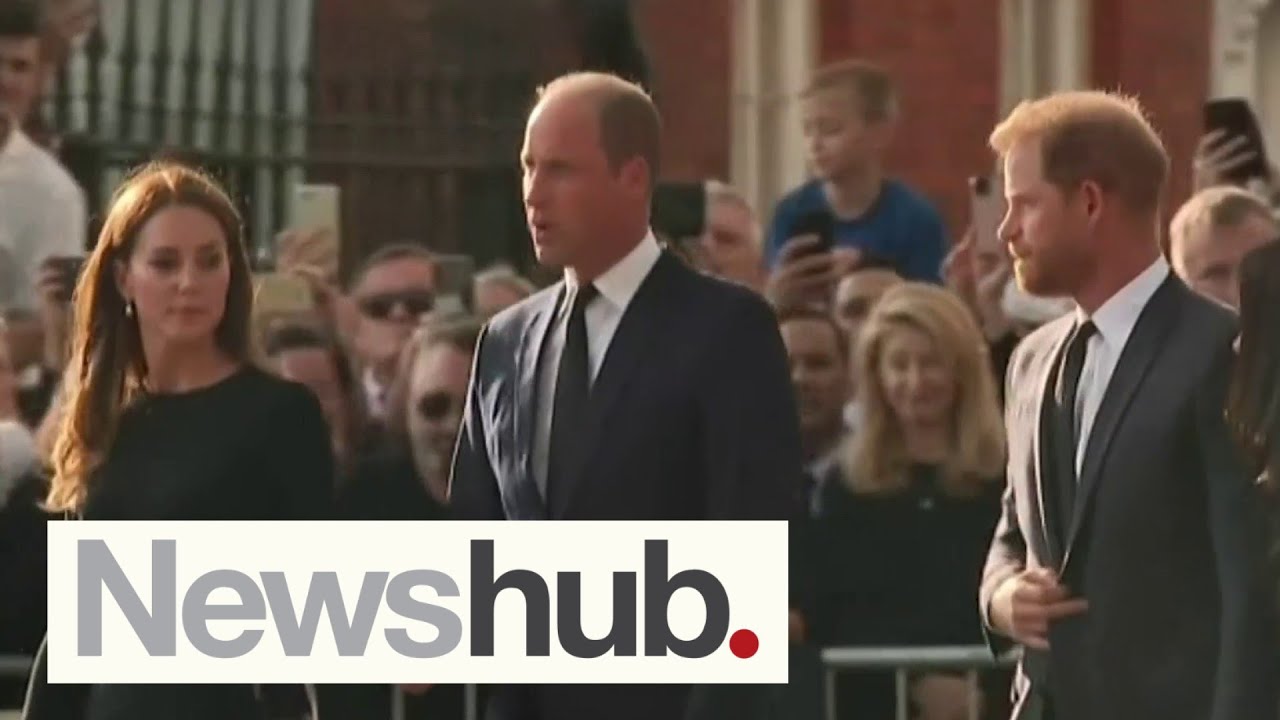 Prince Harry's most EXPLOSIVE claims as memoir mistakenly goes on sale | Newshub