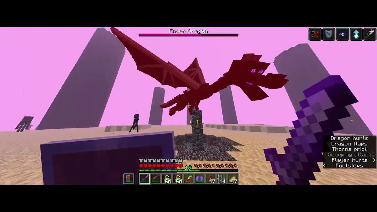 Minecraft command world and defeating Ender Dragon #minecraft