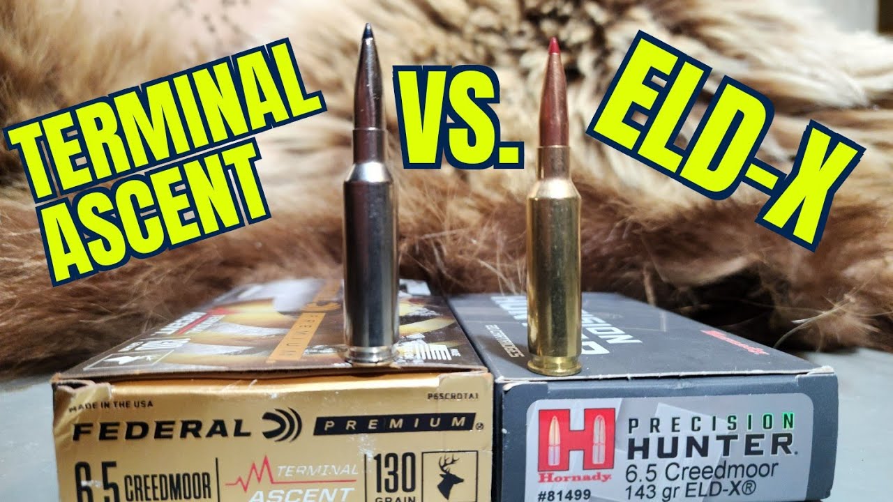 Hornady ELD-X vs. Federal Terminal Ascent 6.5 Creedmoor Ballistics Gel and Pork Shoulder Test.