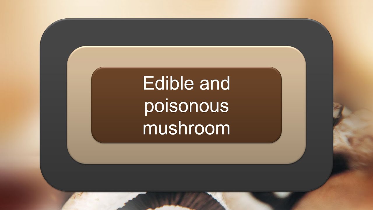 Edible or Poisonous Mushroom edited