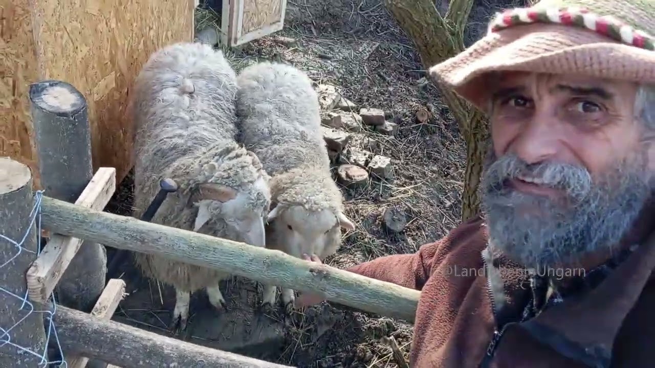 Jetzt geht es los Landleben in Ungarn