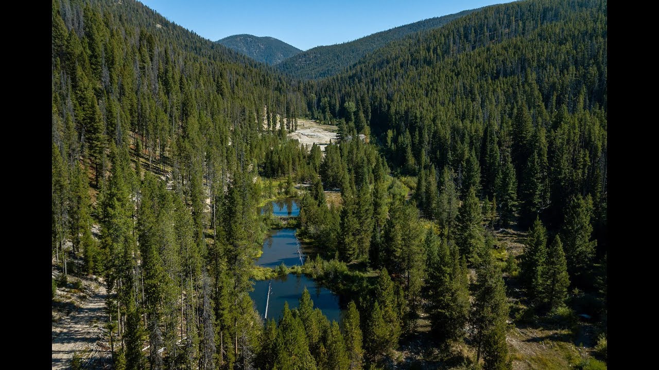 2175 Hughes Creek Road, Darby, MT