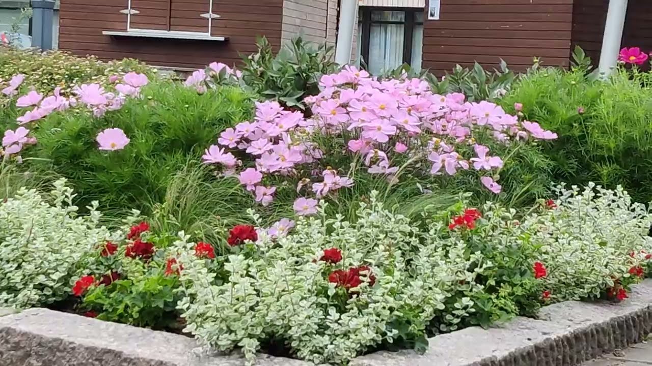 RAAHE - City in Finland 🇫🇮  #Raahe #Finland #citypark