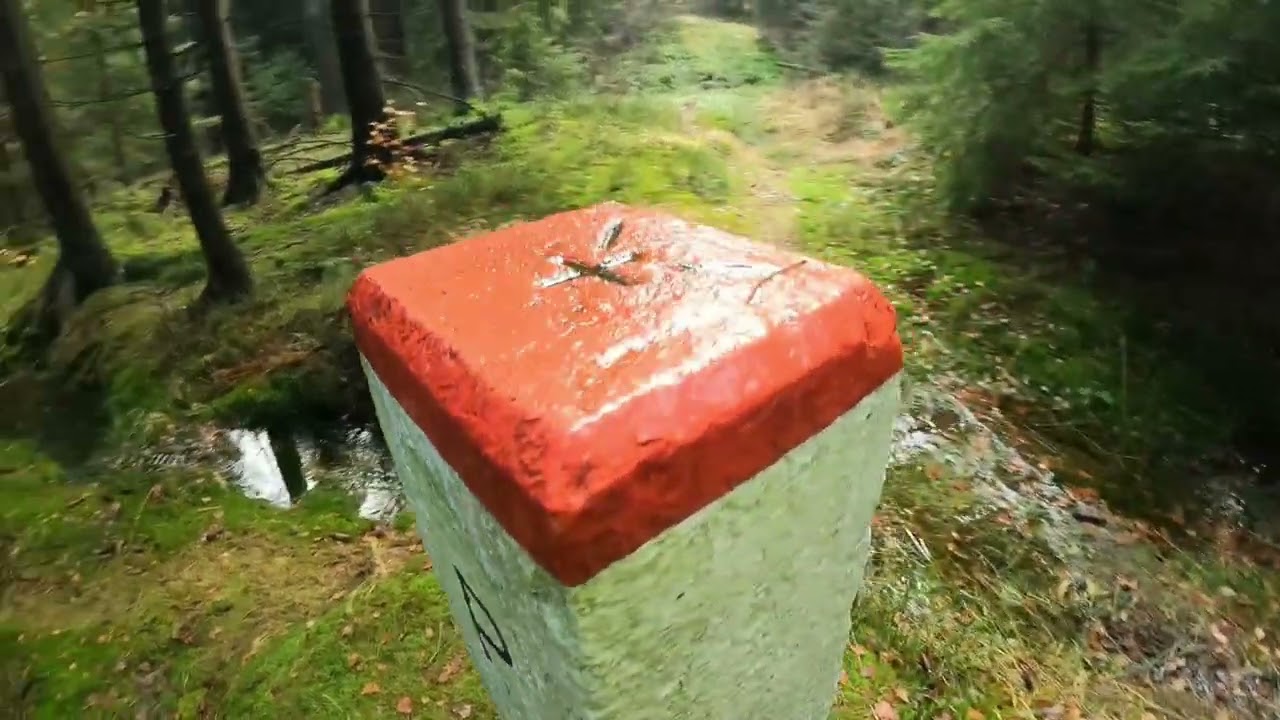Wykopki z Wykrywaczem ,Jedną Nogą w Czechach ,Tu Jest Legal❗❗