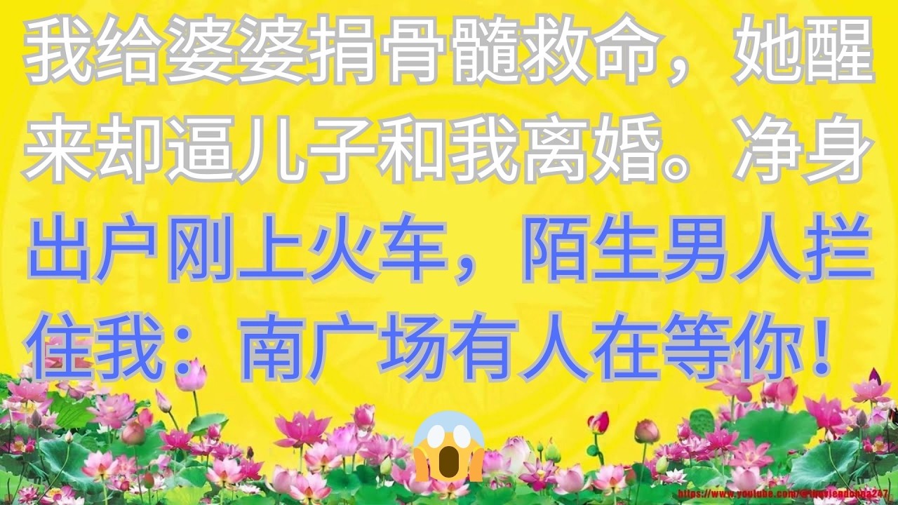 我给婆婆捐骨髓救命，她醒来却逼儿子和我离婚。净身出户刚上火车，陌生男人拦住我：南广场有人在等你！