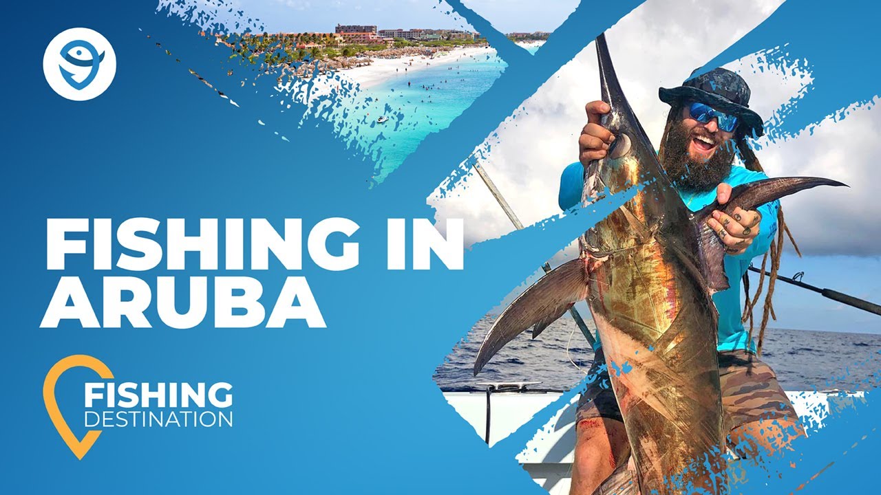Fishing in Aruba: All You Need to Know | FishingBooker