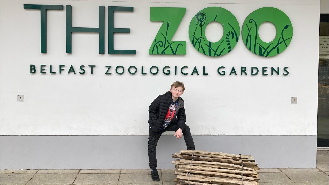 Part2 Belfast zoo