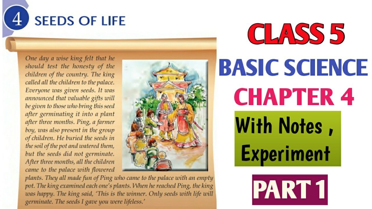 Class 5 Basic Science Chapter 4 Seeds of Life | Kerala Syllabus |  Part 1