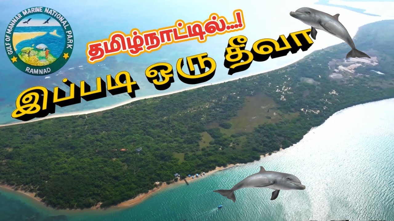 Little Maldives 🤯 இப்படி ஒரு தீவா  💥😳⁉️|Kurusadai Island| குருசடை தீவு| #rameshwaram