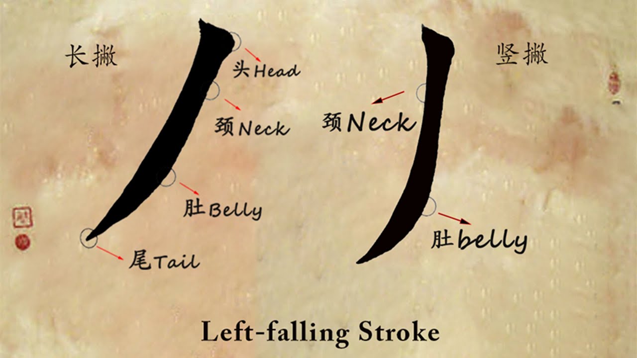 Chinese Calligraphy Tutorial | Strokes: Left-falling strokes 撇(长撇、中撇、竖撇)