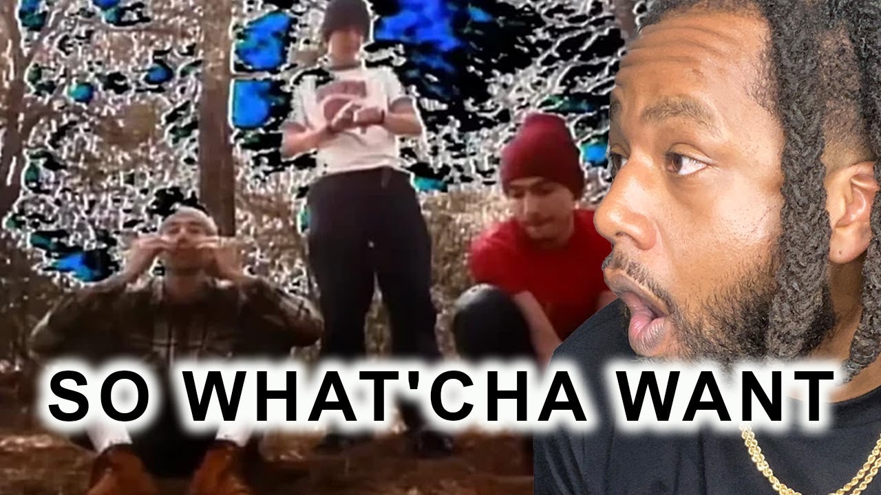 FIRST TIME HEARING Beastie Boys – So What'Cha Want REACTION  (Lyrics + Video)