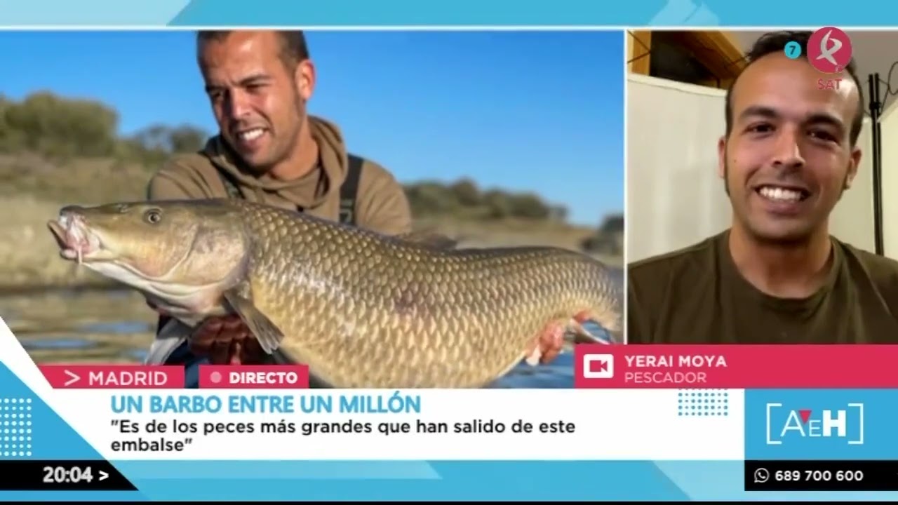 Pescan un barbo de 12 kilos en Orellana | A esta hora
