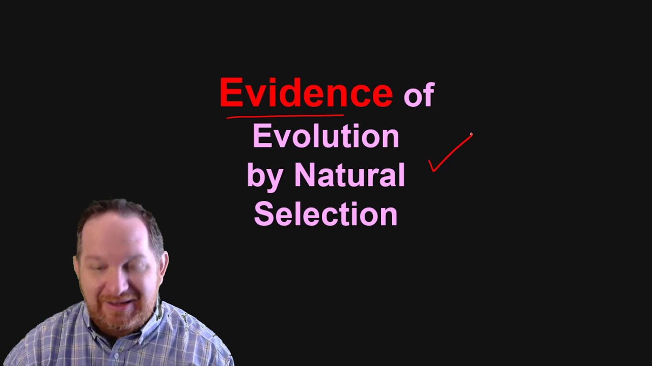 36. Evidence of Evolution
