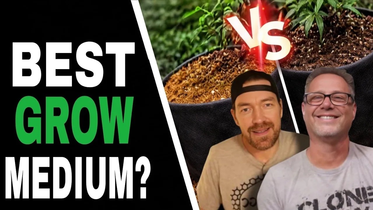 Don&rsquo;t Start Your Grow Until You Understand THESE Media Types