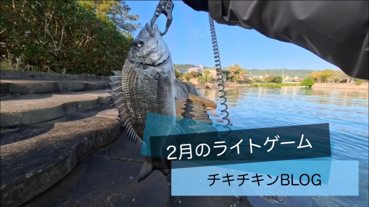 ［沖縄］2月のライトゲーム［ルアーフィッシング］#沖縄 #釣り #ルアー釣り #fishing #fishingvideo #fishinglife