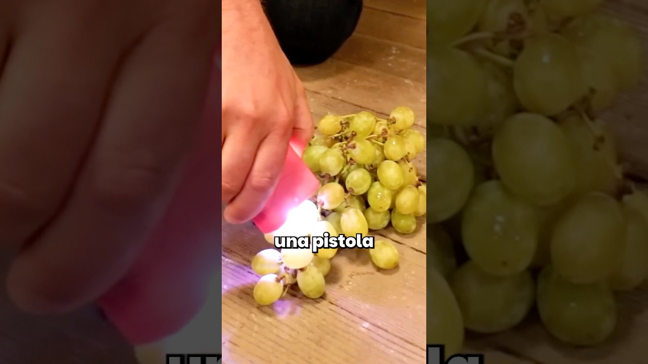 😦EL DETALLE DE UN LUGAR TRANQUILO QUE NUNCA VISTE