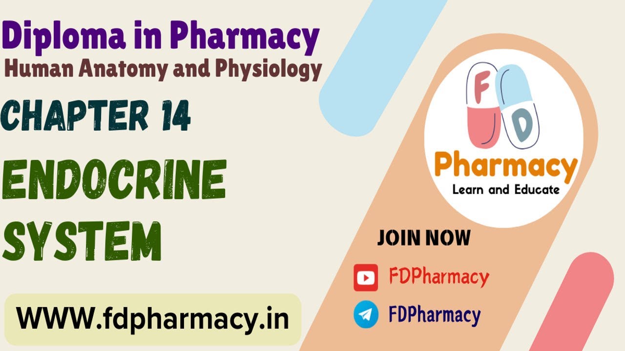 CH 14 Endocrine System Notes | Human Anatomy & Physiology Notes | D.Pharma 1st Year Notes