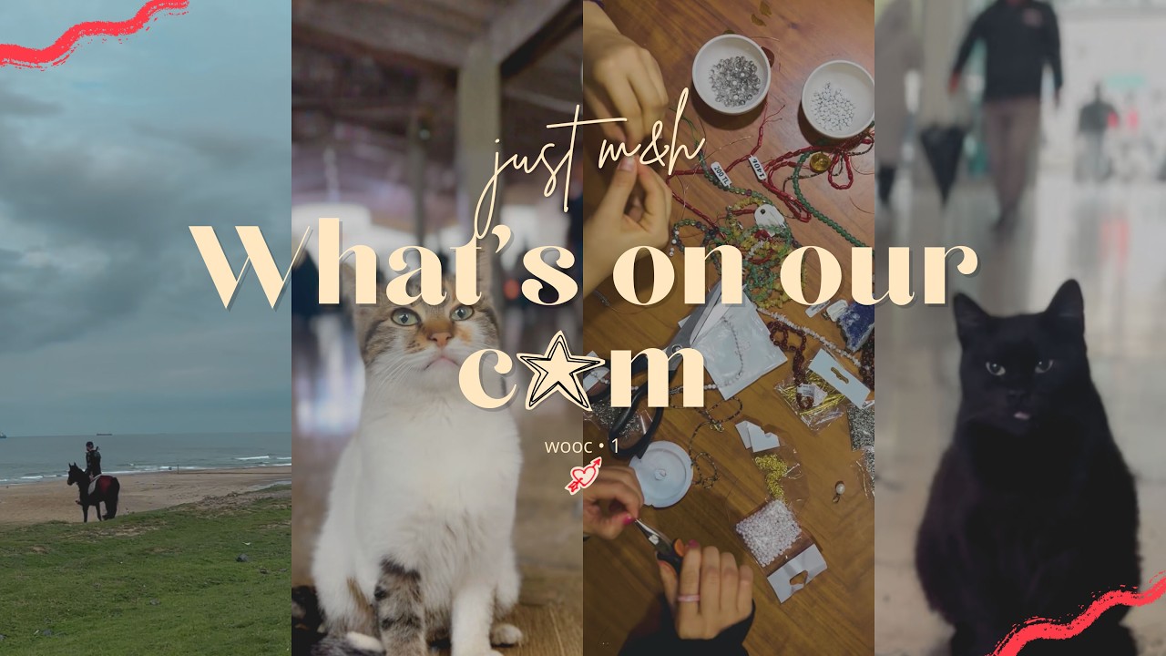 What’s On Our Cam • 1 🌿Daily Routine 🌿 Cozy Silent Vlog