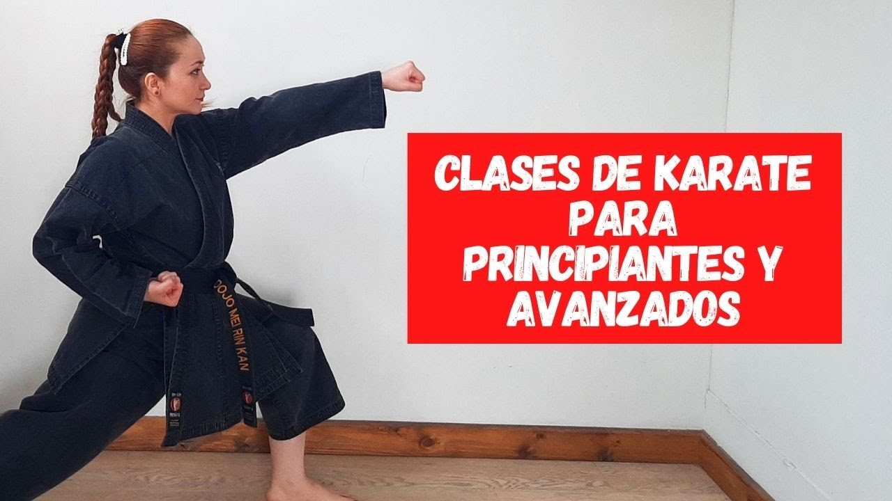 Kihon Básico de Karate - Técnicas de brazos y piernas
