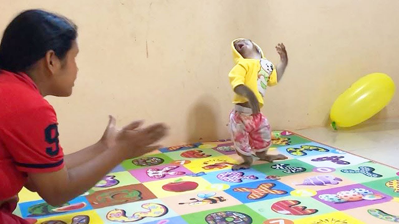 Smart Jason Amusingly Gesture Dancing When Mom Clap Hand Singing