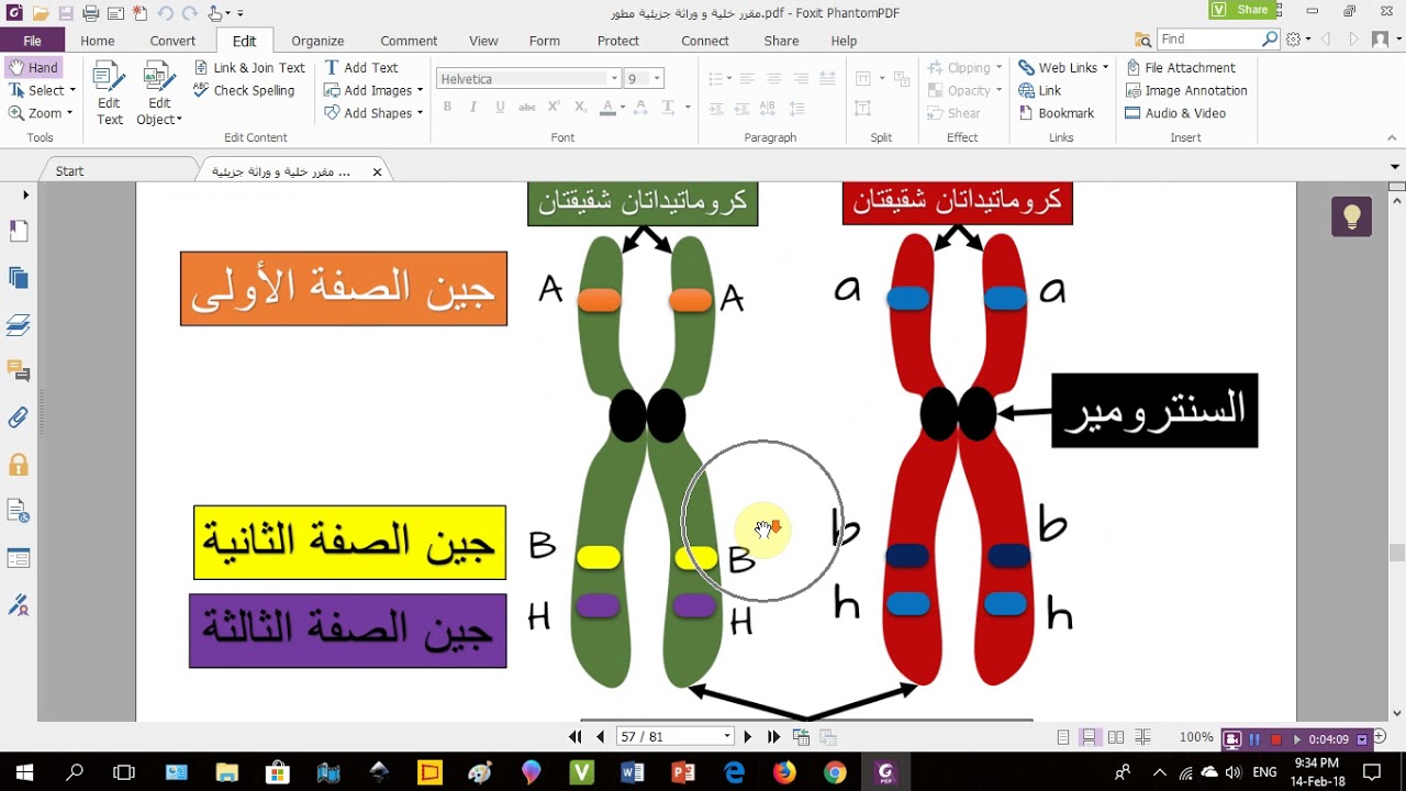الميوزي الأول: العبور