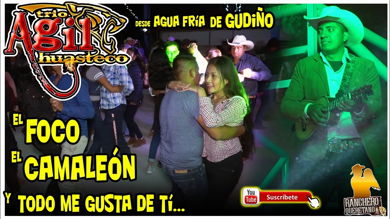 Trío Ágil Huasteco - El foco El camaleón y Todo me gusta de ti
