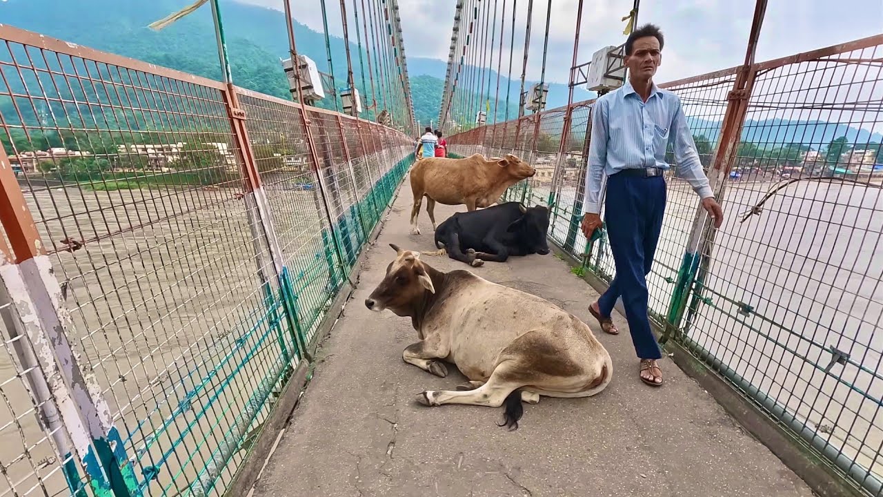 RISHIKESH: At the Edge of India | Paid Spirituality |WalkingTour 4k