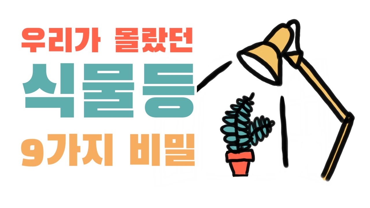 식물등 개발자가 밝히는 좋은 식물등 찾는 법 #식물 #식물집사 #식물초보 #식물탐구 #식물튜브 #식물등