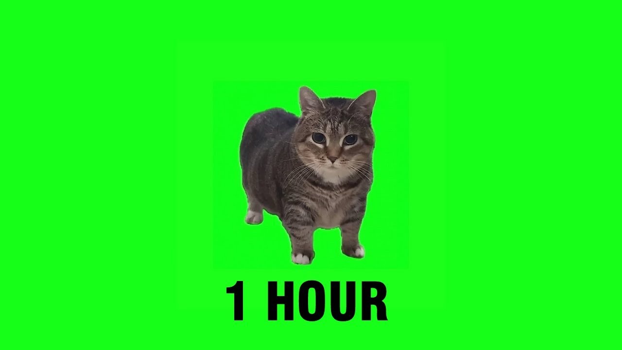 [1 HOUR] W&W - OIIA OIIA (Spinning Cat)