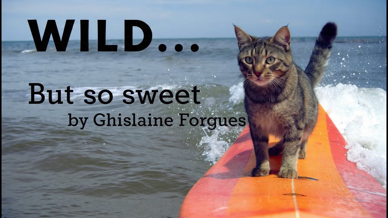 Wild... But So Sweet