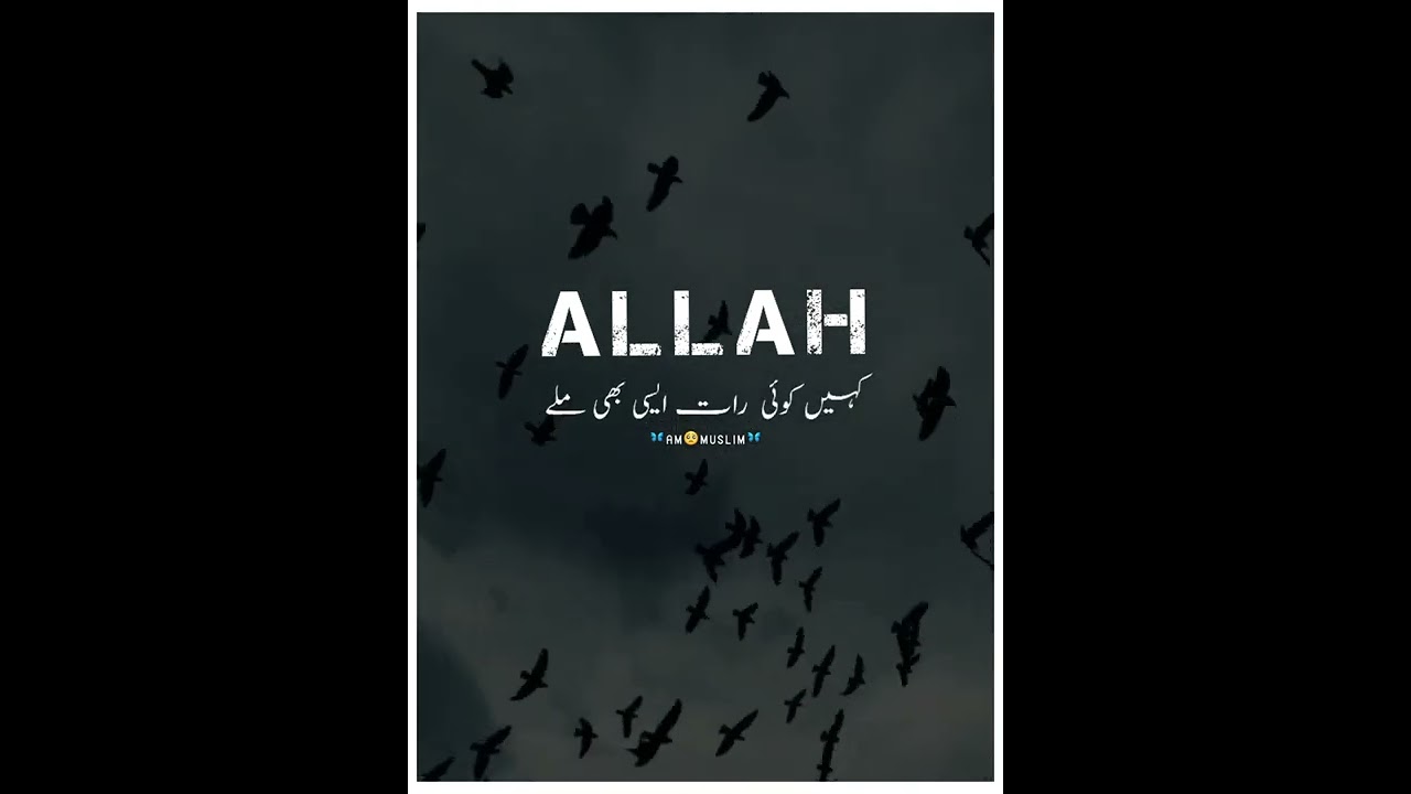 allah ki bargah mein Rona emotional bayan💫😞🥺|✍︎☹︎❣︎🤲ajmal raza qadri emotional bayan status|#shorts