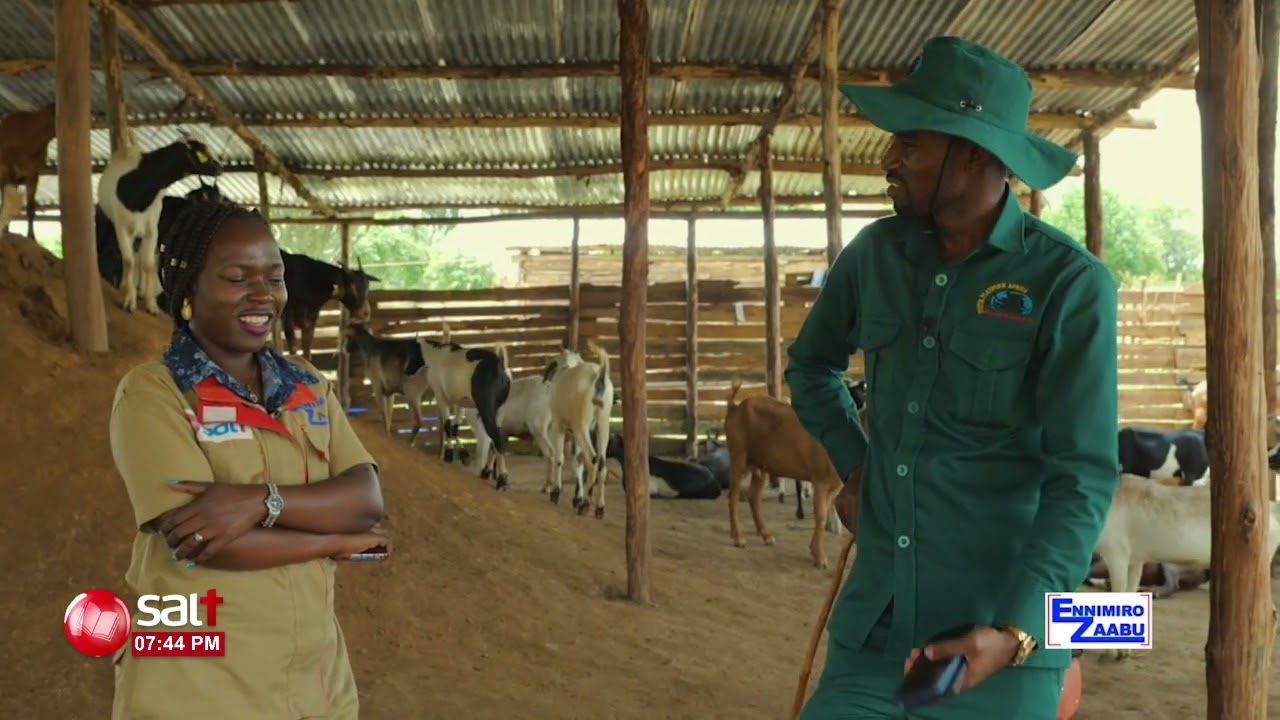 ENNIMIRO ZZAABU - Ennundu y'embuzi ey'omulembe