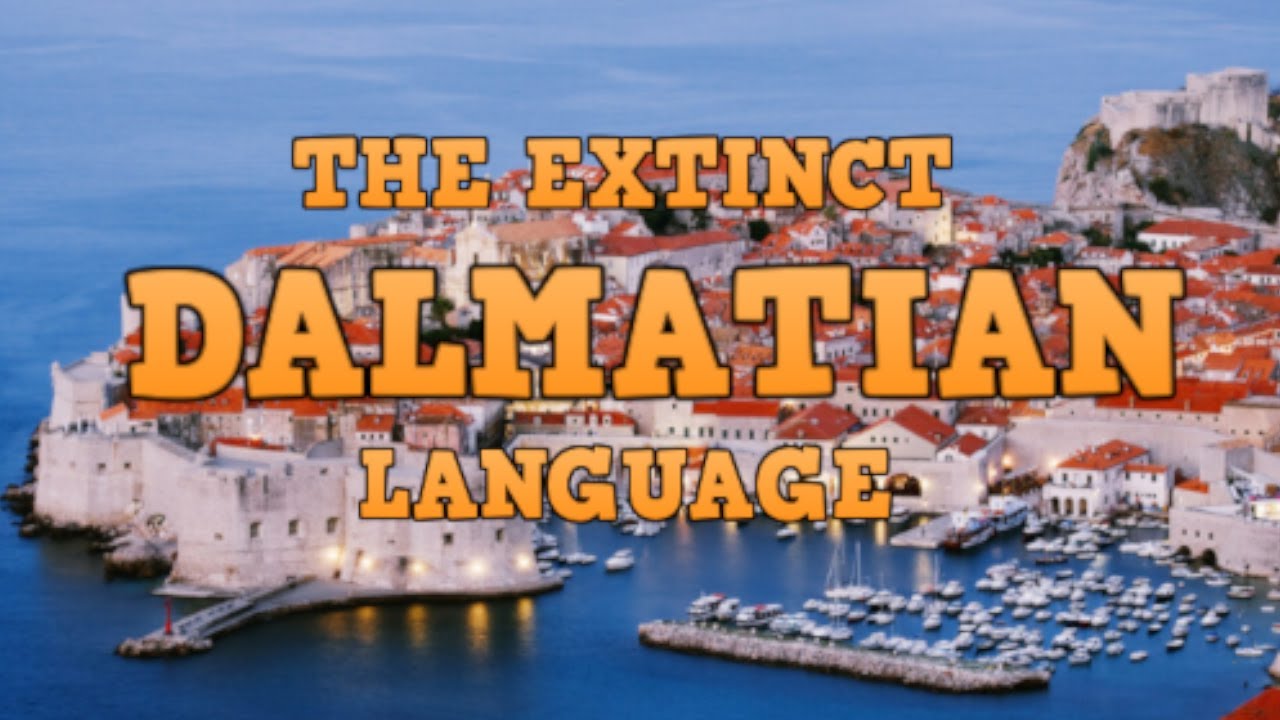 DALMATIAN LANGUAGE  - the missing link? (ROMANCE LANGUAGES)