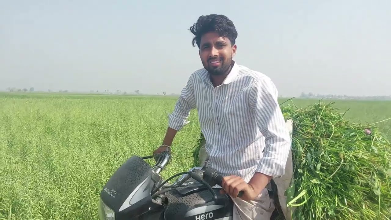 Vlog-49 || aaj hamare sath chirag ji bhi aaye kheto par || new vlog || daily vlogging
