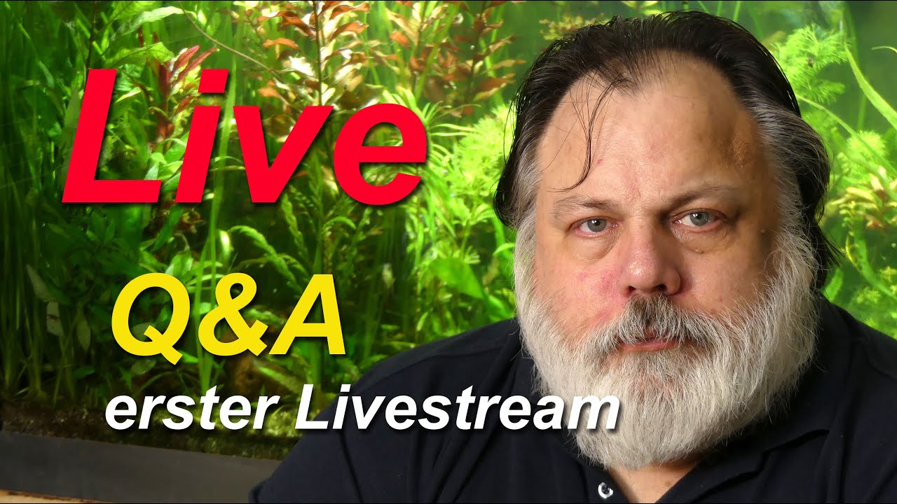 Erster Livestream, Q&A