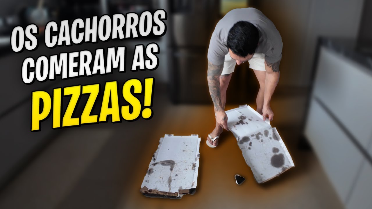 OS CACHORROS COMERAM NOSSAS PIZZAS E NÃO ACREDITEI NO PREÇO DA RAÇÃO ( 800,00 REAIS )