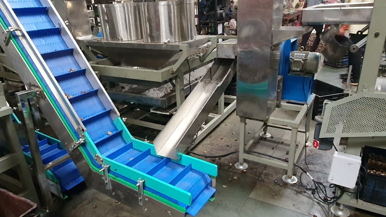 cashew kernel seperation line /cashew scooping line