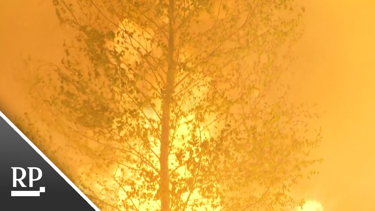 NRW-Feuerwehren in niederländischem Naturschutzgebiet im Einsatz