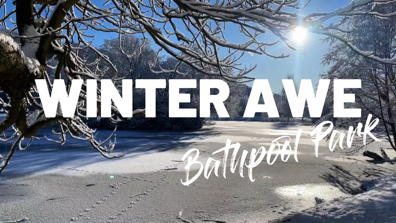 Наука и магия благоговения: осознанная прогулка для души