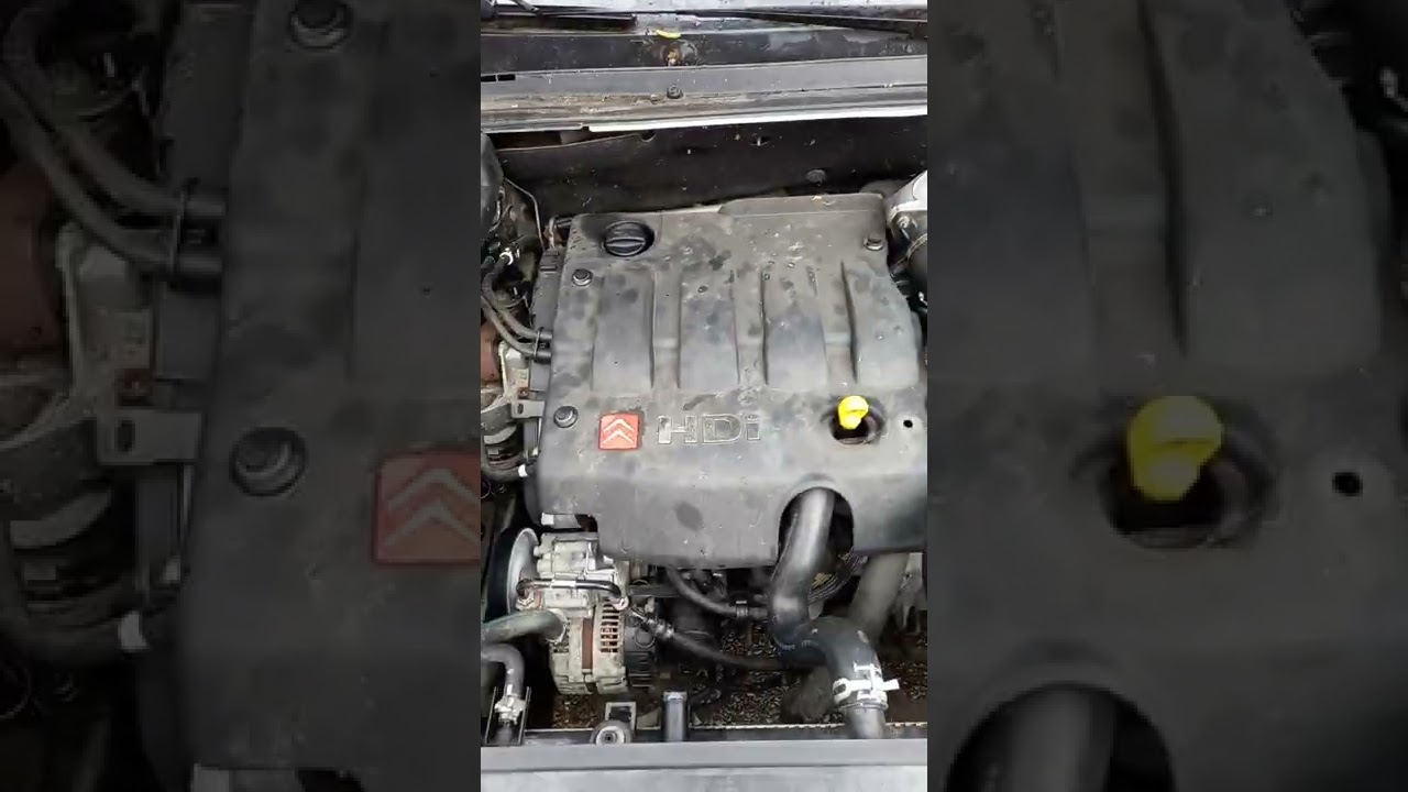 problem citroen c5