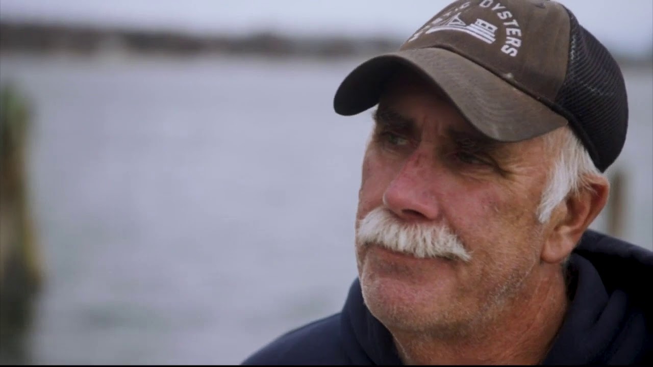 Coronavirus impact om fishing industry
