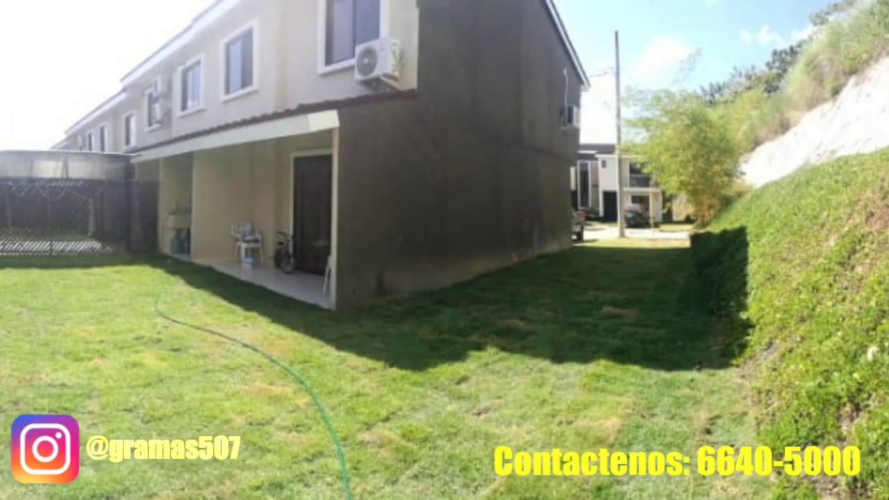 Instalacion de Grama (Cesped) Natural - Grama Verde y Plantas