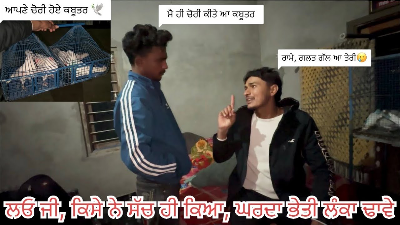 ਸੁਣੋ ਕਬੂਤਰ ਚੋਰੀ ਦੀ ਸਾਰੀ story🕊️🥷|| ਕਿਵੇਂ ਕਬੂਤਰ ਚੋਰੀ ਹੋਏ, ਕਿੱਥੋਂ ਮਿਲੇ, ਤੇ ਕੋਣ ਸੀ ਇਹ ਸਭ ਪਿੱਛੇ…