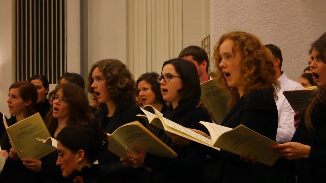 Oratorium over de Schepping | OneDay Events