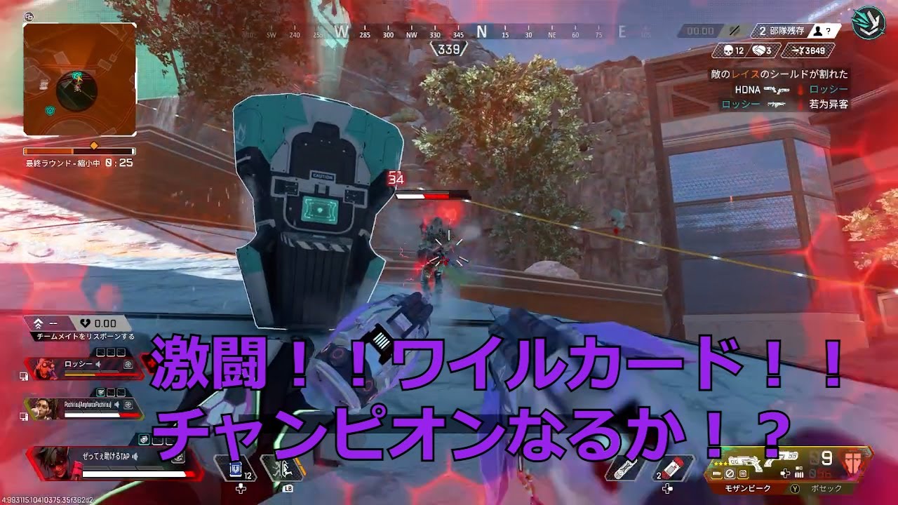【メタゲーム】弾薬ギリギリの大激闘！ワイルカード！【エーペックスレジェンズ】【メンバーさん作成】