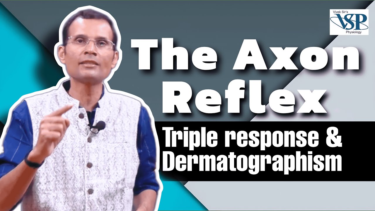 Triple response and dermatographism:- The axon reflex | MBBS | NEET PG | Dr Vivek Nalgirkar |