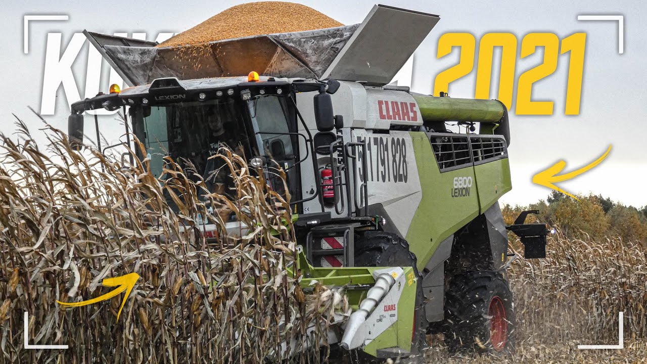 ✔Kukurydza Na Ziarno 2021✔Claas Lexion 6800✔
