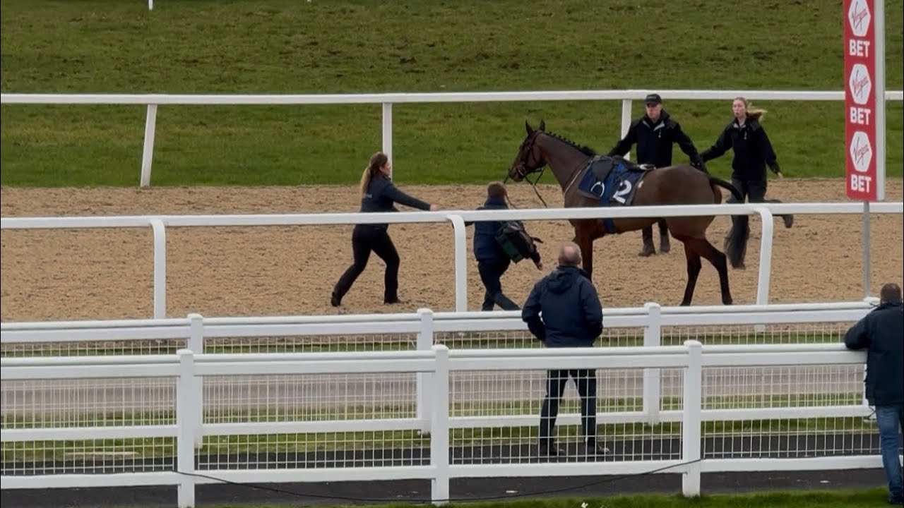 Horse DROPS Jockey and Goes FULL SPEED at Newcastle Race 😱🐎