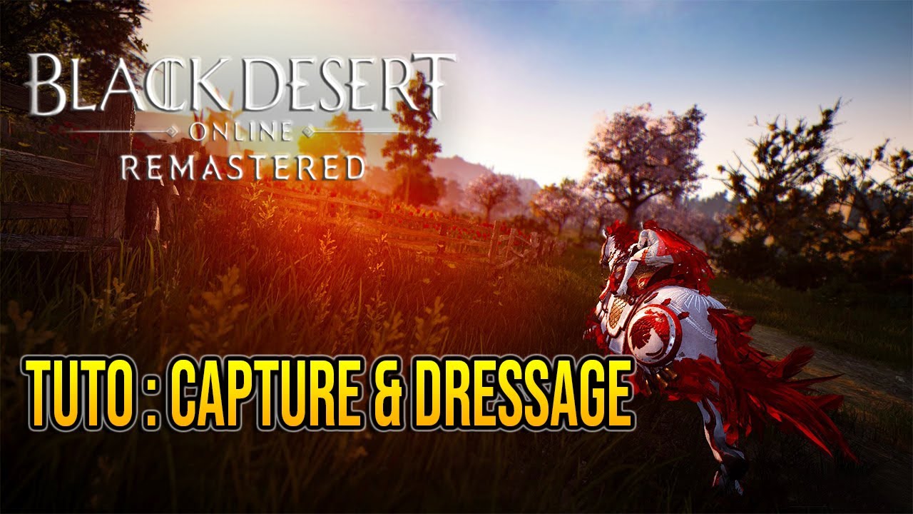 [FR] Black Desert Online : Tuto : Tout savoir sur la Capture et le Dressage des chevaux