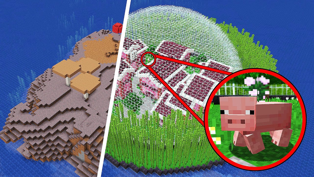 Construi uma Cidade INTEIRA s&oacute; pro&nbsp;meu&nbsp;PET